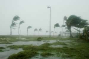 Hurricane force winds blowing in Florida