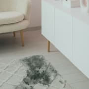 How to remove mold from carpet and when testing is needed