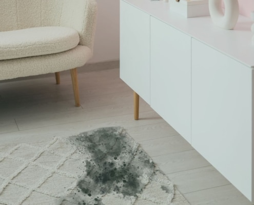 How to remove mold from carpet and when testing is needed