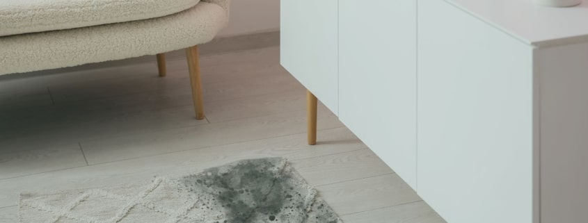 How to remove mold from carpet and when testing is needed