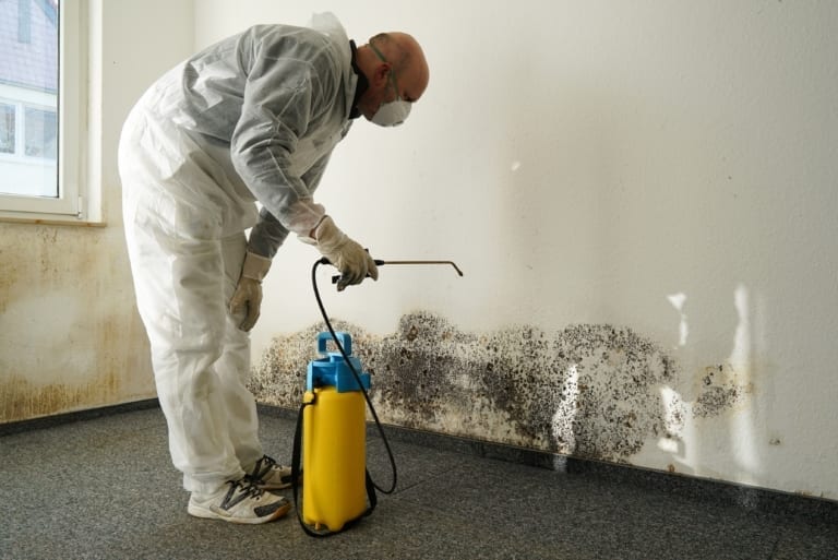 How to Remove Mold From Carpet Inside & Out Property Inspectors