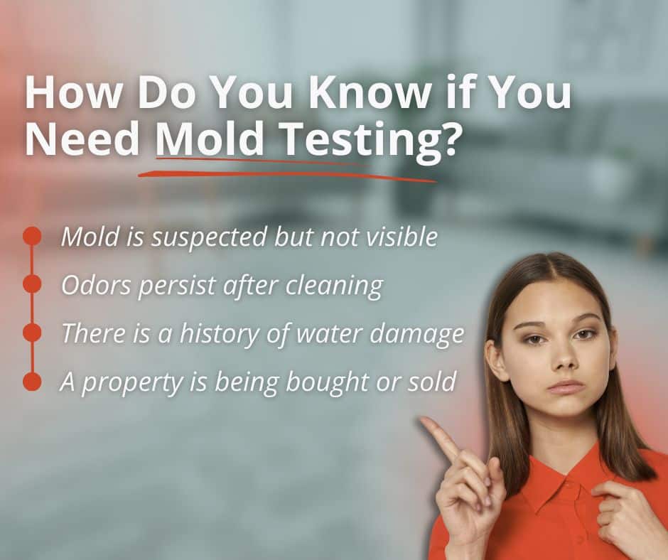 can you get mold out of carpet