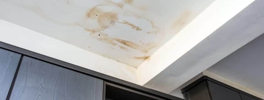 Indicators of Water Damage Behind Walls