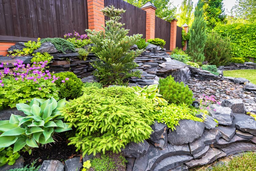 Landscape rock in a landscape design in a yard. 