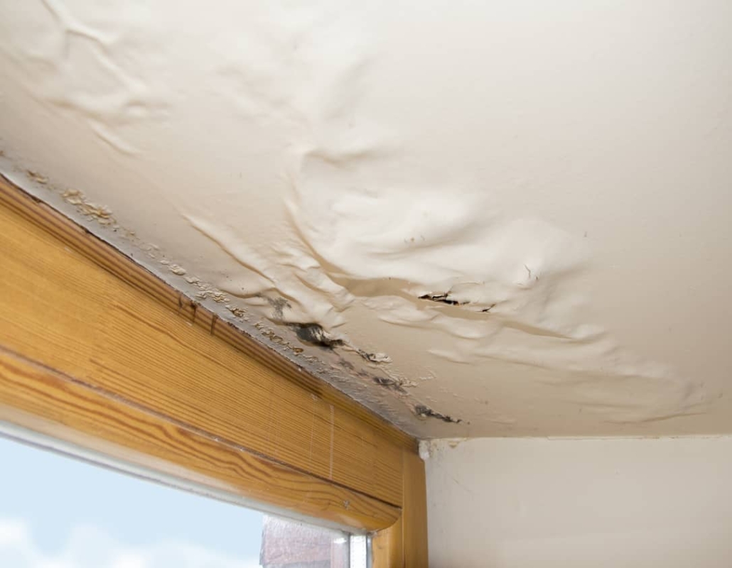 What Is Water Intrusion - Inside & Out Property Inspectors