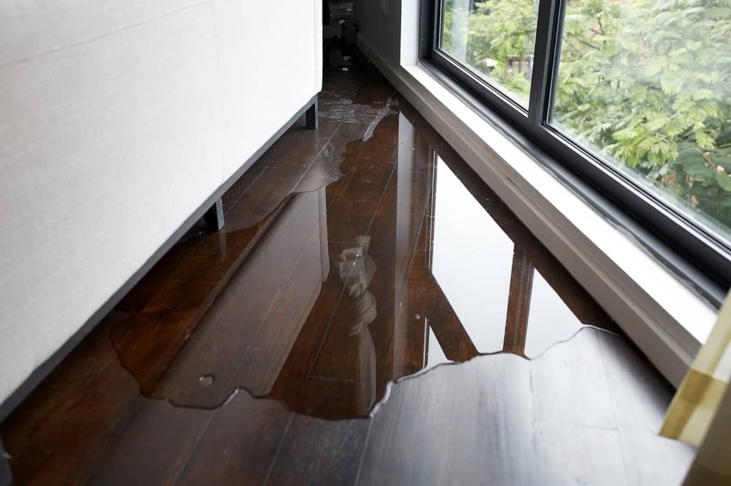 Water intrusion on your hardwood floors is not a good thing. 