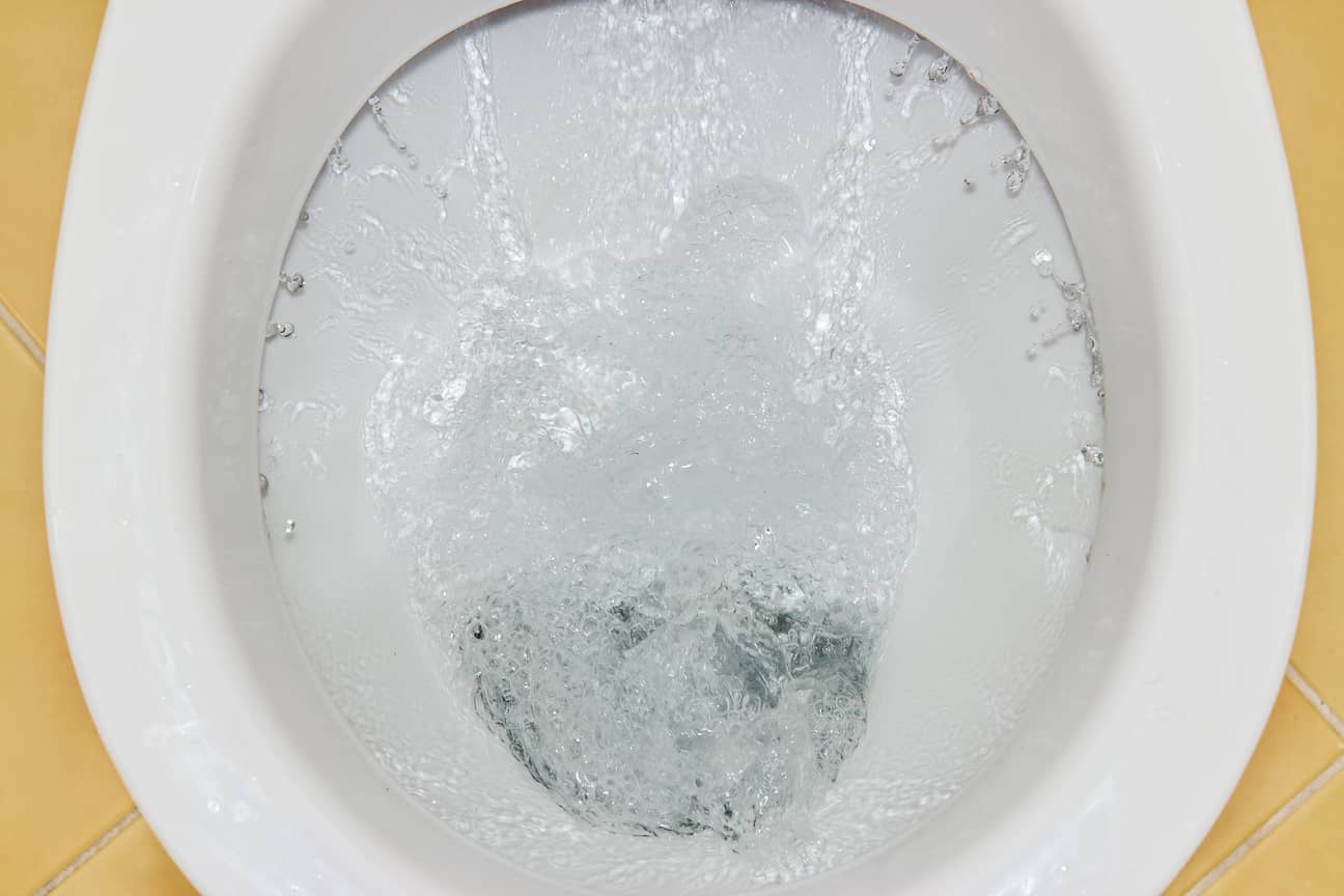 Why Is My Toilet Bubbling When The Shower Is Running? Inside & Out