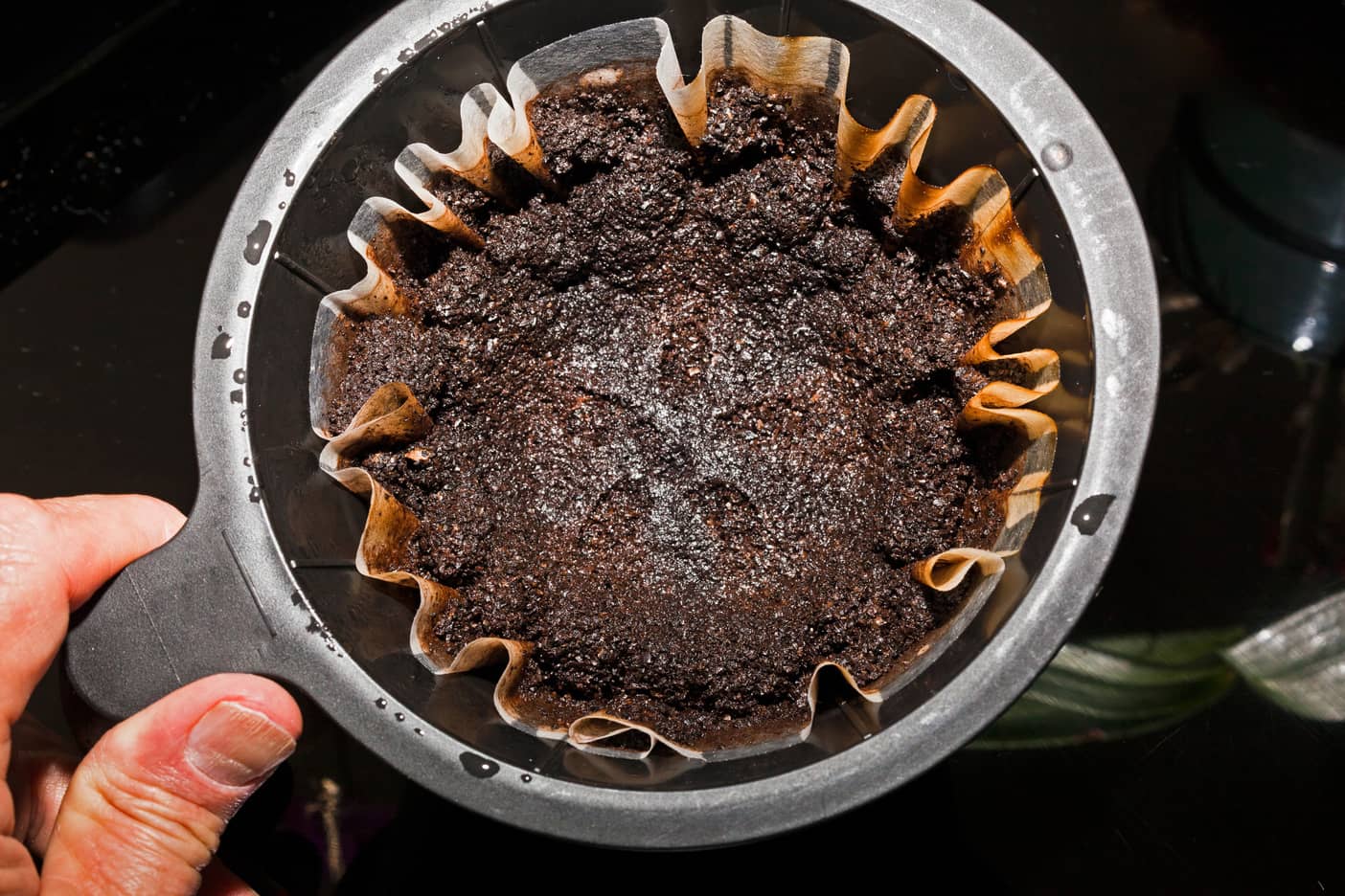 Can Coffee Grounds Go Down The Sink? Inside & Out Property Inspectors