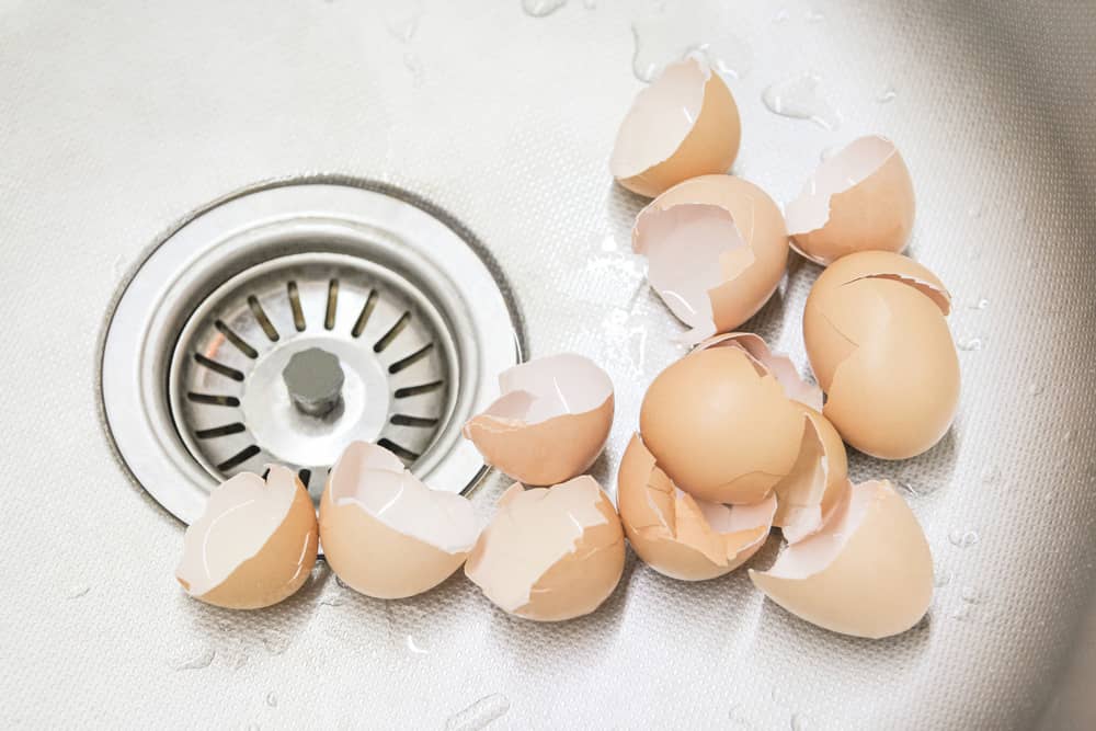 Egg shells cannot go in a sink as they can stick to the pipes. 