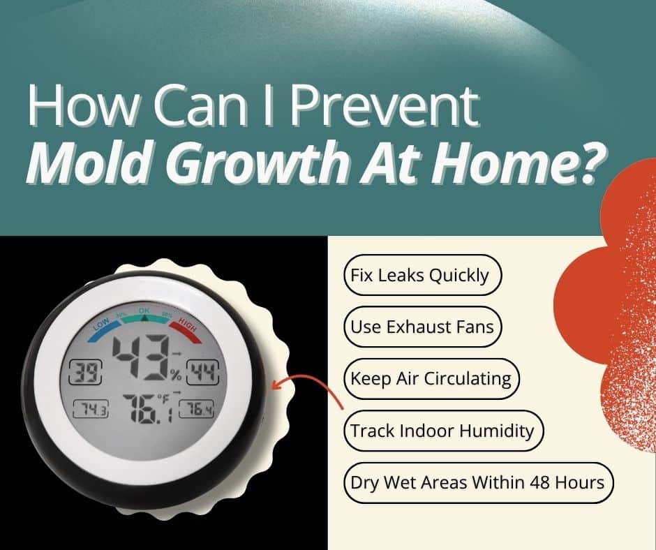 how to prevent black mold without relying on a dehumidifier