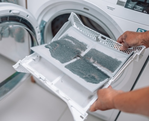 laundry dryer lint trap