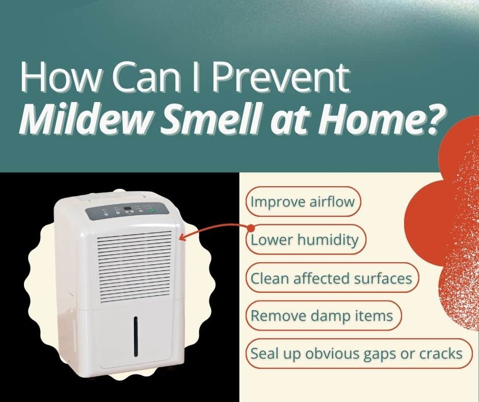 preventing mildew smell and mold growth in your house