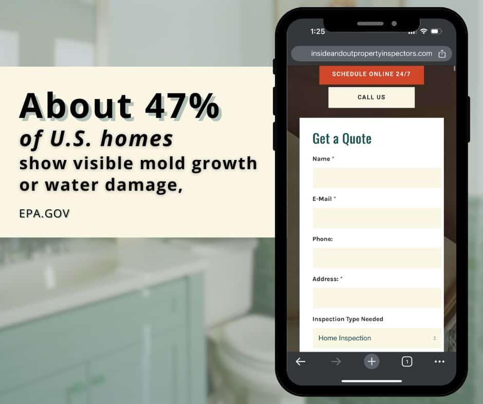 mold and mildew smell stat