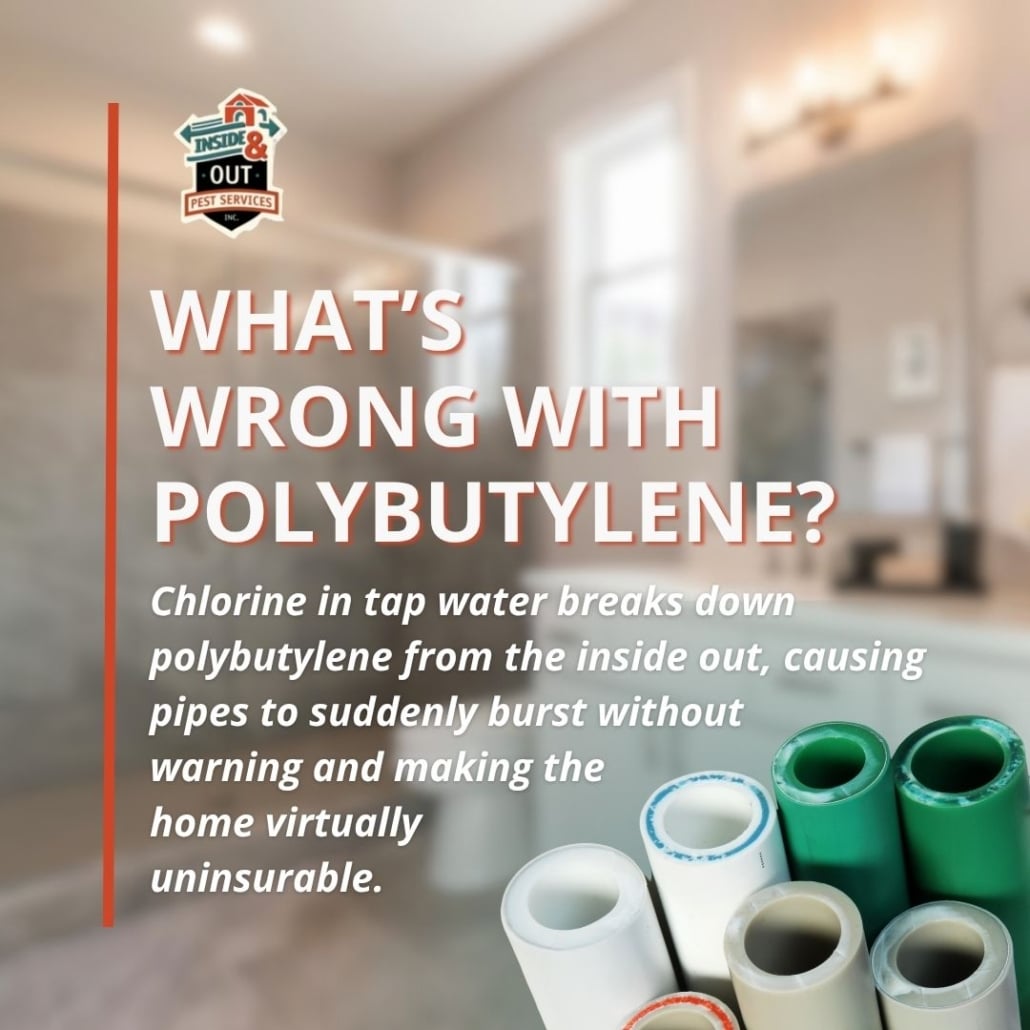 Graphic titled 'What's wrong with polybutylene?' explaining that chlorine breaks down the pipes from the inside out, causing sudden bursts and home insurance issues.