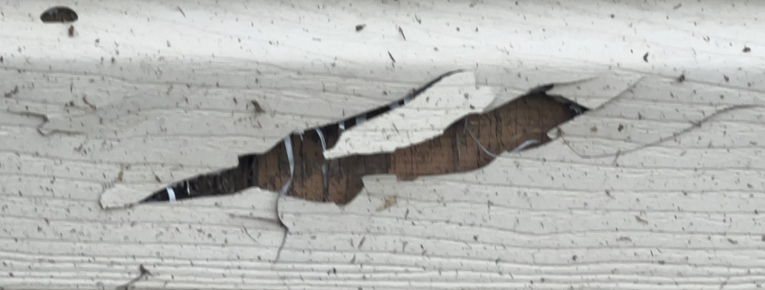 Torn vinyl siding showing dark, decayed sheathing and missing house wrap behind it