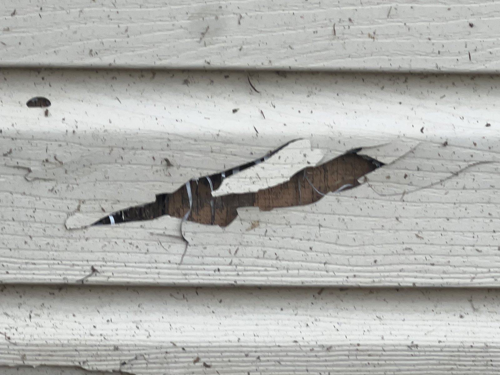 Torn vinyl siding showing dark, decayed sheathing and missing house wrap behind it